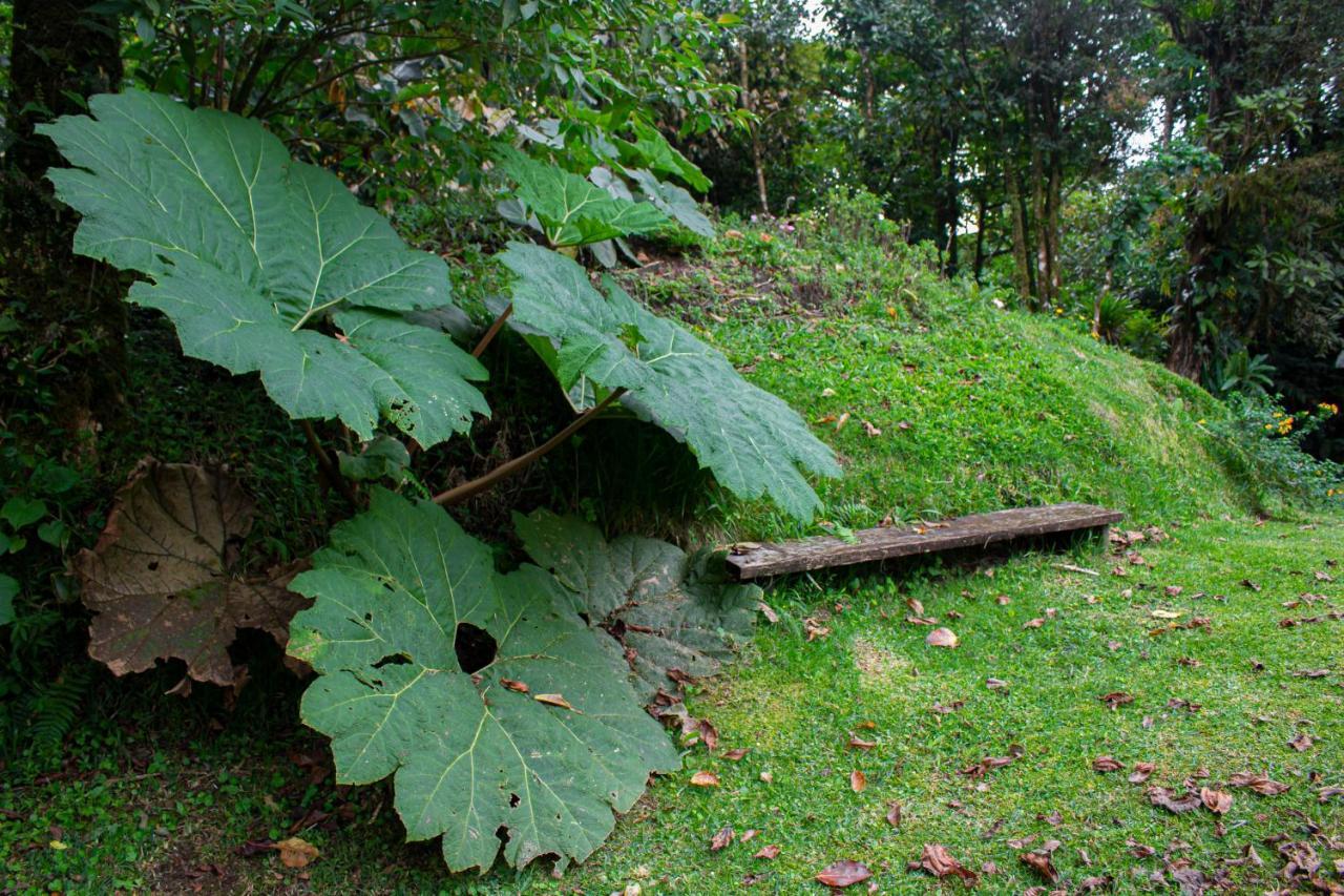 Burbi Lake Lodge Monteverde Exteriér fotografie