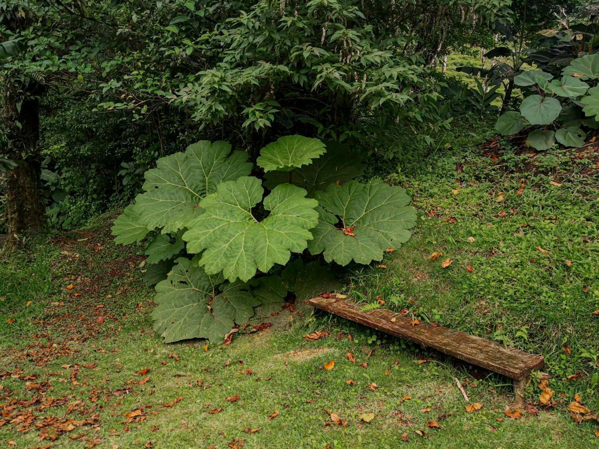 Burbi Lake Lodge Monteverde Exteriér fotografie